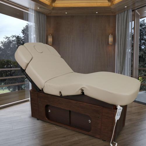 Luxury Electric Beauty Bed treatment table